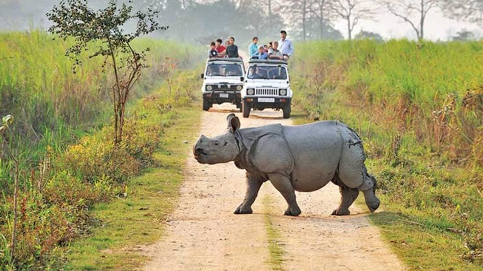 Day 07: Dirang - Kaziranga